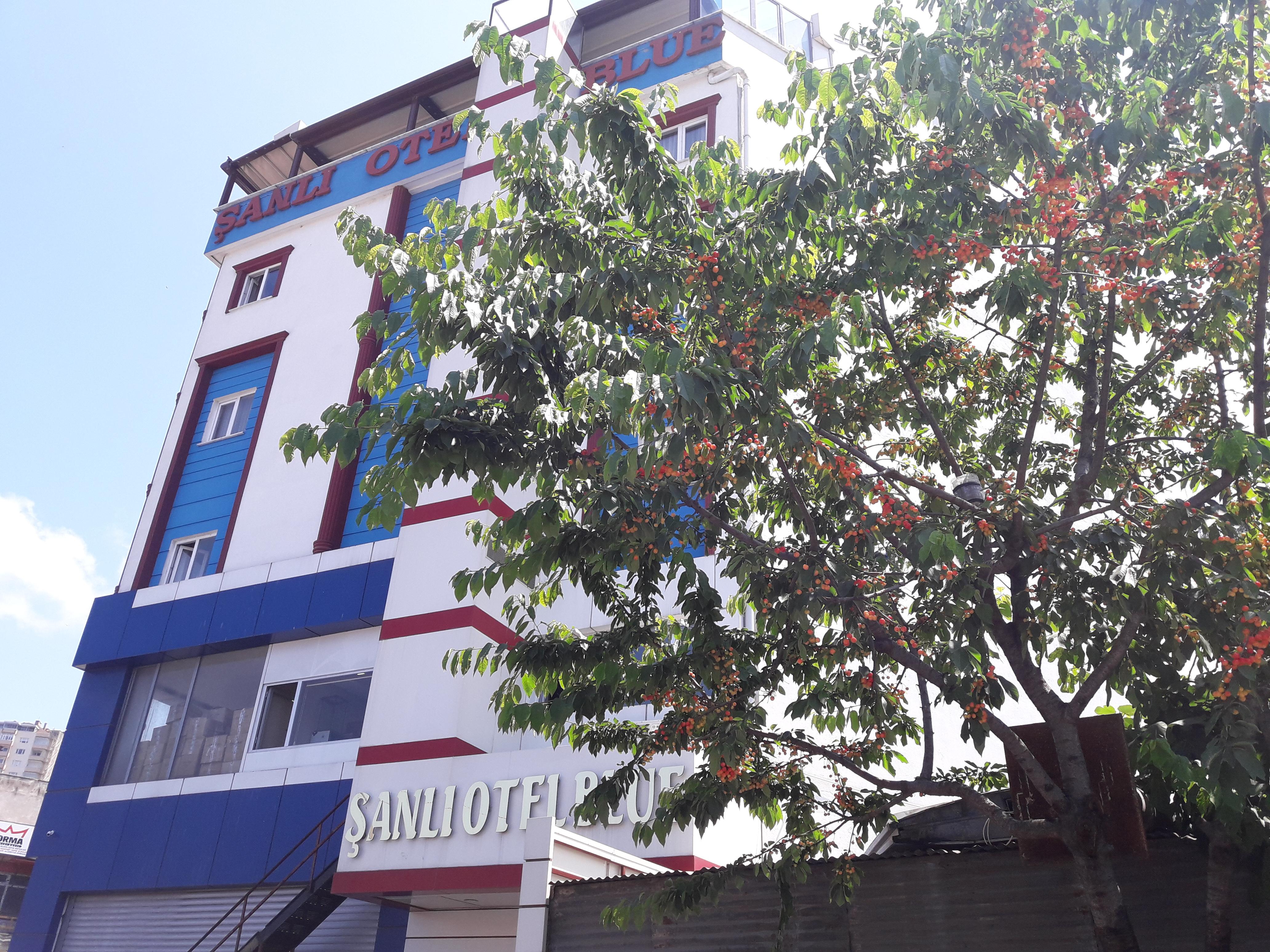 Sanli Hotel Blue ทรับซอน ภายนอก รูปภาพ